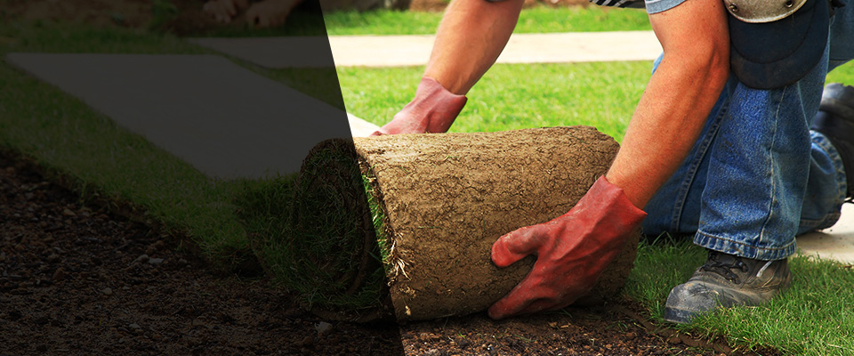 Bunnell Landscapers